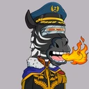 ZESTYZEBRA3843