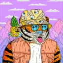 Tigerz1452