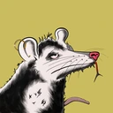 Possum #34...