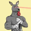 kangaroofightsociety#4521