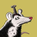 Possum #42...