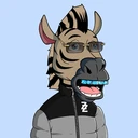 ZESTYZEBRA1057