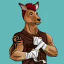kangaroofightsociety#1717
