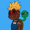 TTSTurtle4476