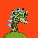 GenuineGiraffe_1807