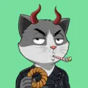 CATSTANBUL971