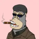 ChilledKong7212
