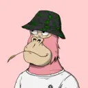 ChilledKong1819