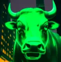 BULLRUN