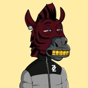 ZESTYZEBRA4212