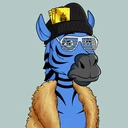 ZESTYZEBRA4126