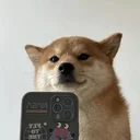 Selfie Dog