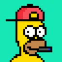 HomerPunks3989
