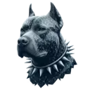 Pitbul token