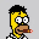 HomerPunks3482