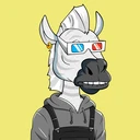 ZESTYZEBRA1469