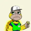 FernSolarCongo