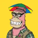 ChilledKong2962