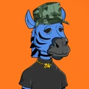 ZESTYZEBRA3977