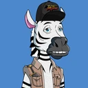 ZESTYZEBRA610