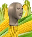 CORN