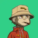SocialApe2933