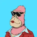 ChilledKong6539