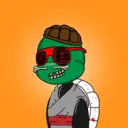 TTSTurtle1398