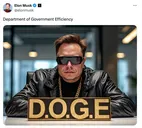 Elon Doge