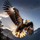 Eagle