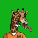 GenuineGiraffe_2889