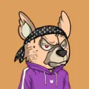 SavageBears2999