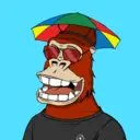 ChilledKong4624