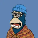 ChilledKong8251