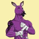 kangaroofightsociety#2358