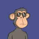 Monkes562