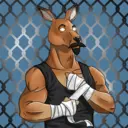 kangaroofightsociety#3485