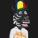 ZESTYZEBRA4048