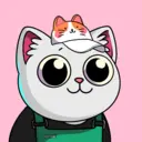 crycat2135