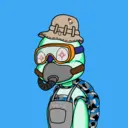 TTSTurtle2753
