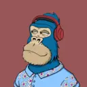 ChilledKong8063