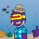 TTSTurtle3087
