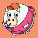 Bubulls1653