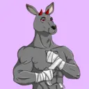 kangaroofightsociety#1566