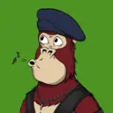 ChilledKong4964
