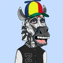 ZESTYZEBRA4464