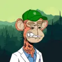 CardanoBoredApe355