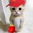 mccat