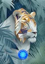 NFTN268NyiragongoDRC
