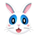 raBITs05